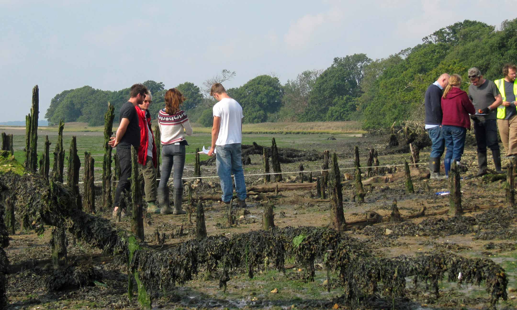 People on a beach looking at wooden posts coming out of the mud.