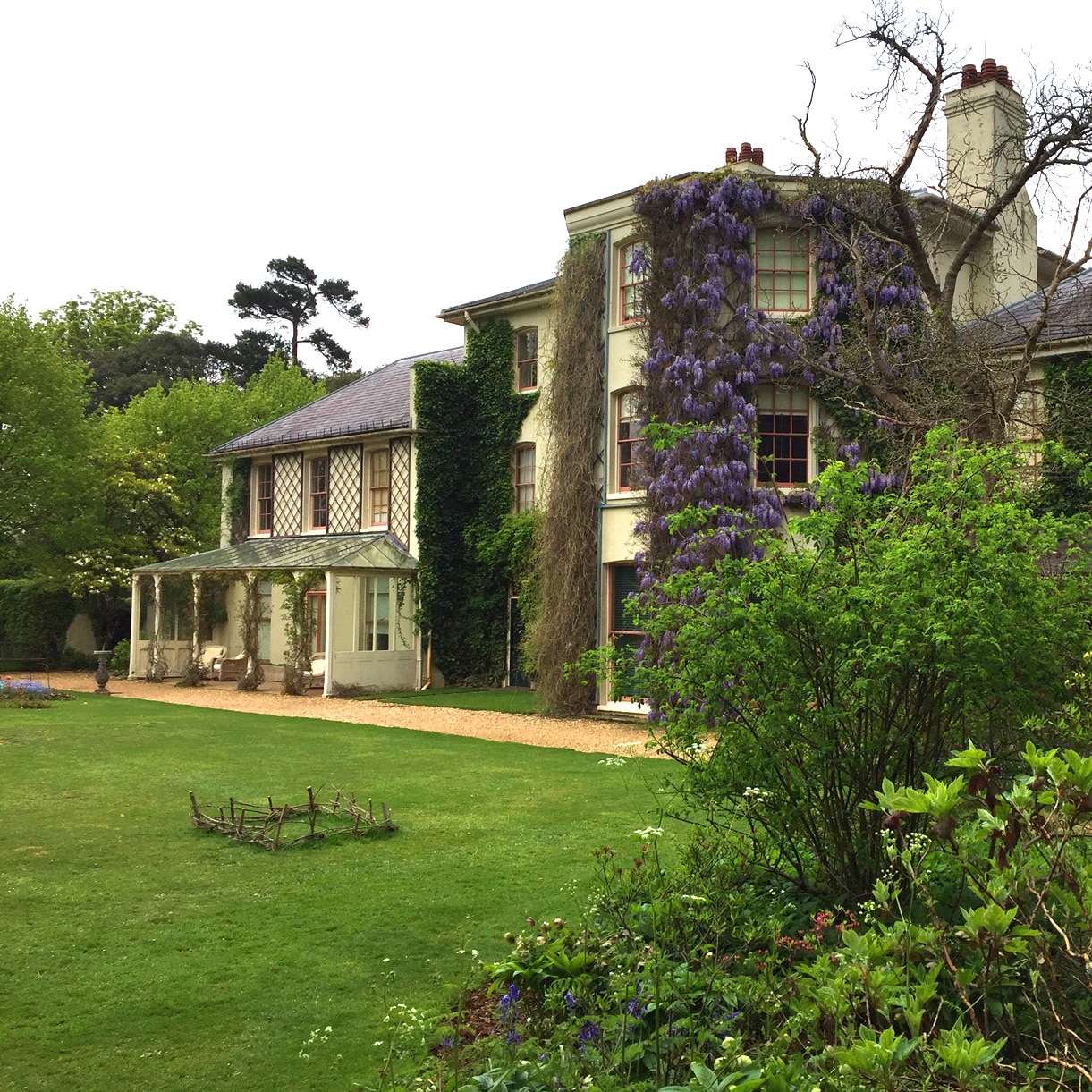 Large house with wisteria growing over it.