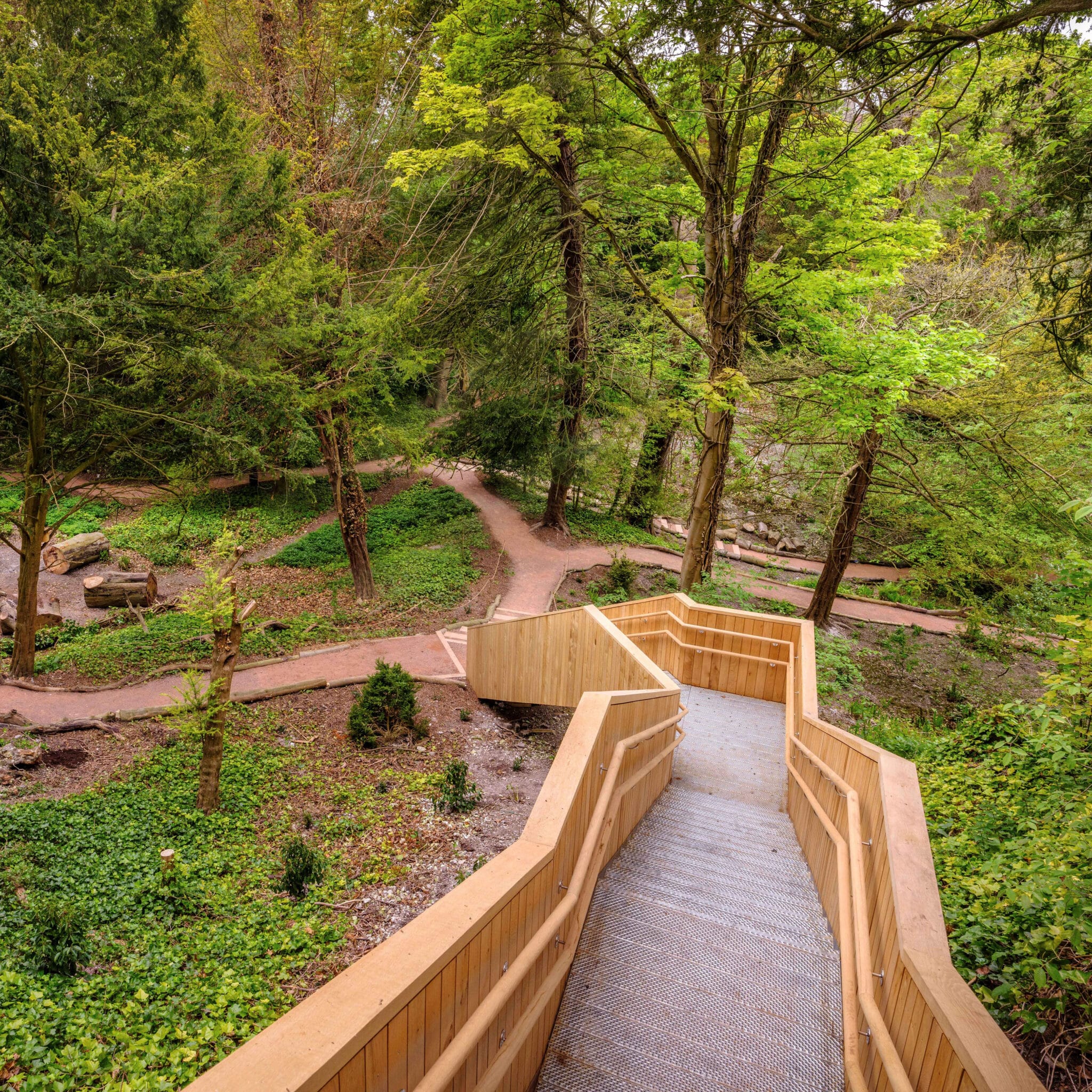 A view down steep outdoor steps to a wooded garden. 